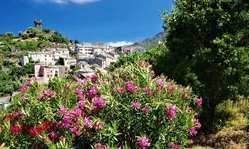 Puzzle 7401 - Village de Haute-Corse