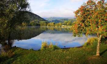 Puzzle 8102 - Lac Chambon