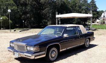 Puzzle 8247 - CADILLAC