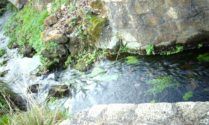 Puzzle un ruisseau à Plouguerneau