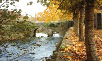 Puzzle 7202 - vieux pont