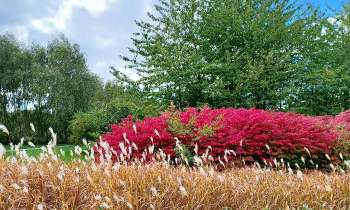 Puzzle 8179 - Nature