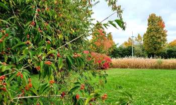 Puzzle 14758 - couleurs d'automne