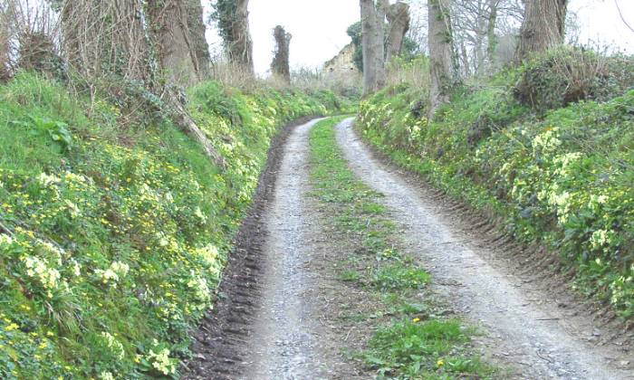 Puzzle chemin creux