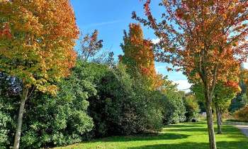 Puzzle 12878 - belles couleurs d'automne
