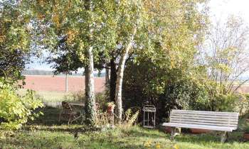 Puzzle 8220 - jardin en automne
