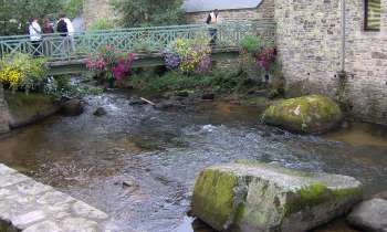 Puzzle 9846 - Pont Aven