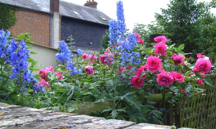 Puzzle delphinums et roses