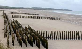 Puzzle 12260 - Plage et cap Gris Nez
