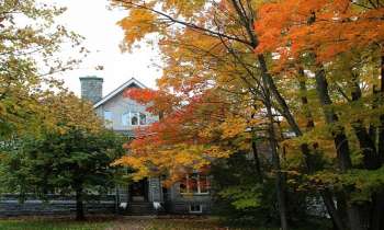 Puzzle 7272 - Automne
