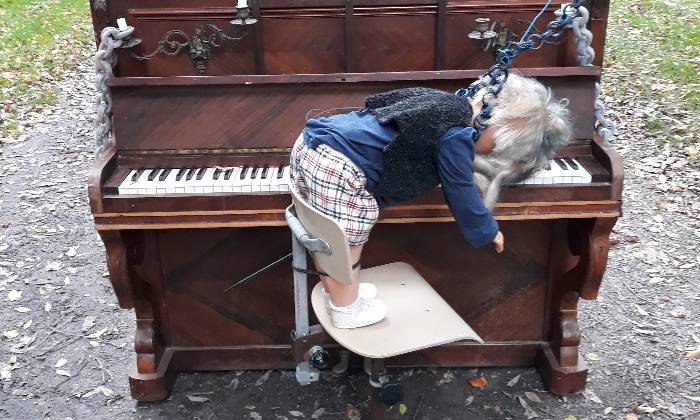 Puzzle Halloween le piano maudit