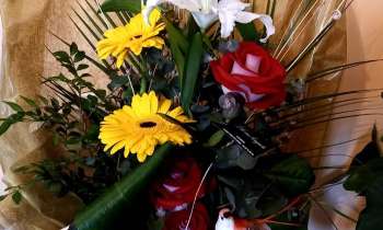 Puzzle 11774 - Fleurs