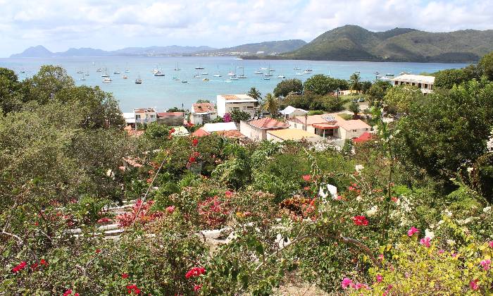 Puzzle Martinique