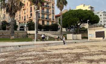 Puzzle 9902 - plage du mourillon