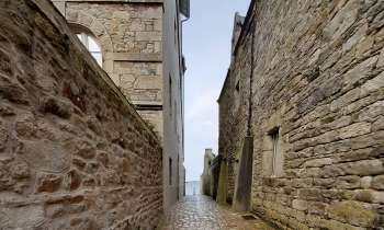 Puzzle 8495 - Ruelle