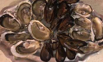 Puzzle 10942 - Fruits de mer
