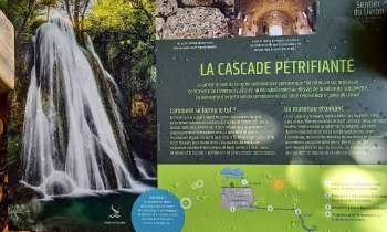 Puzzle 8823 - Cascade