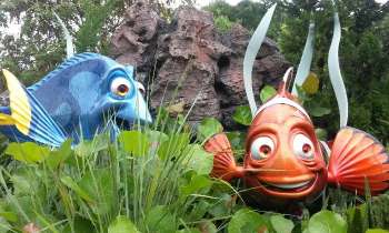 Puzzle 8207 - Poissons insolites