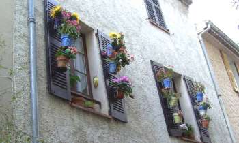 Puzzle 9056 - fenêtres fleuries