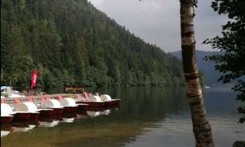 Puzzle 9707 - lac de longemer
