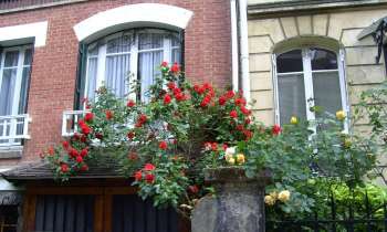 Puzzle 8690 - façades fleuries