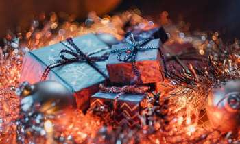 Puzzle 7345 - Les cadeaux sont arrivés