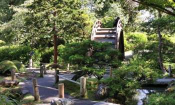 12517 | Jardin - Jardin zen