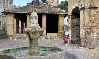 Puzzle 9872 - Fontaine