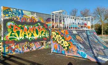 Puzzle 8431 - Skate Park