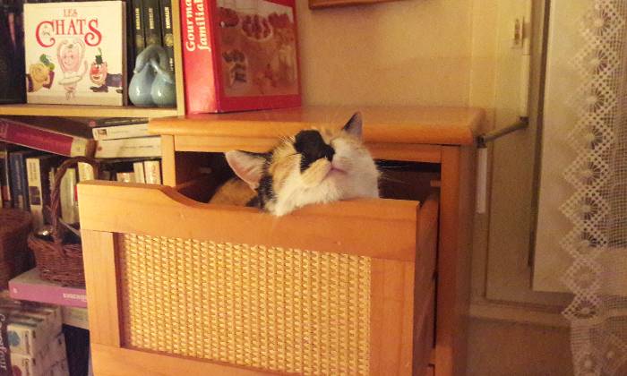 Puzzle Et sur des pulls en plus