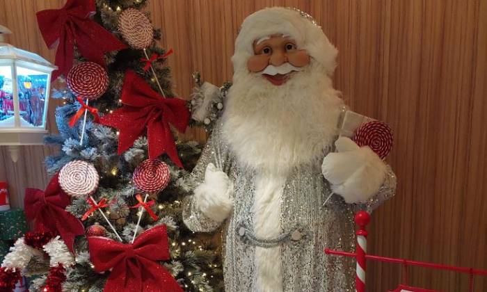 Puzzle Un Père-Noël tout sourire
