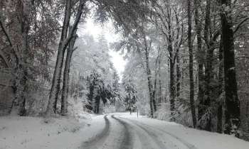 Puzzle 7376 - Neige de noël en forêt