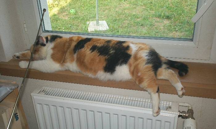 Puzzle Pas chaud dehors