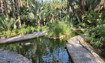 Puzzle 9779 - Jardin