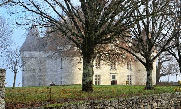 Puzzle château