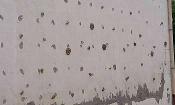 Puzzle 7604 - Mur d'escalade