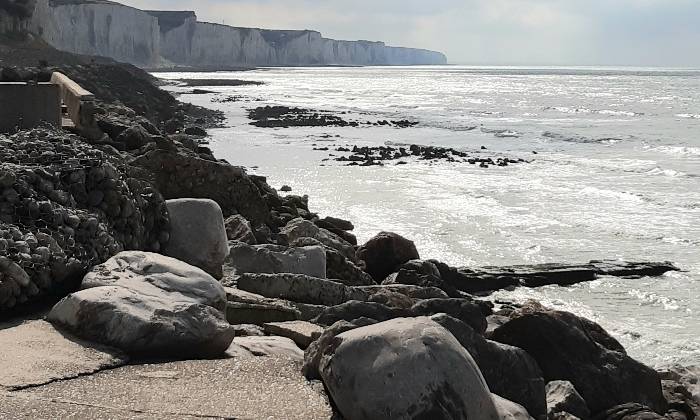 Puzzle La mer