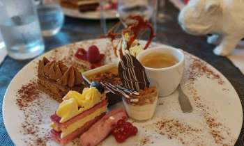 Puzzle 8011 - Café gourmand