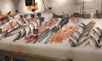13080 | étal de poissonnerie - 