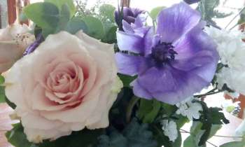 Puzzle 11597 - fleurs