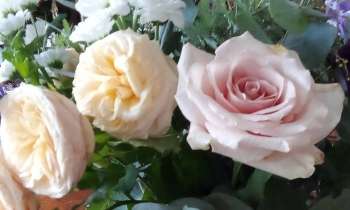 Puzzle 14343 - roses