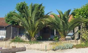 Puzzle 8166 - maison du sud