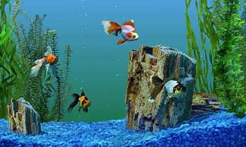 Puzzle 9931 - joli aquarium
