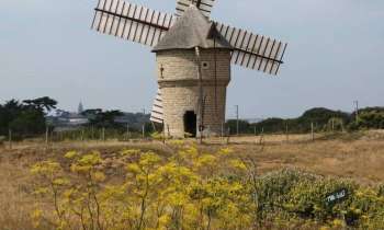 Puzzle 8619 - moulin à vent