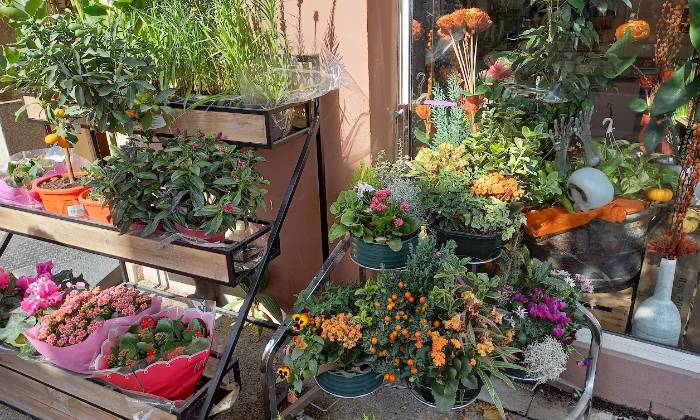 Puzzle Fleuriste - Divers - Absolu Puzzle