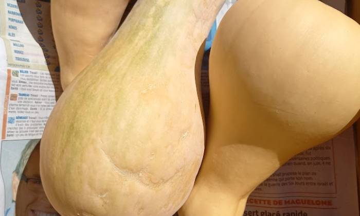 Puzzle Courges butternet