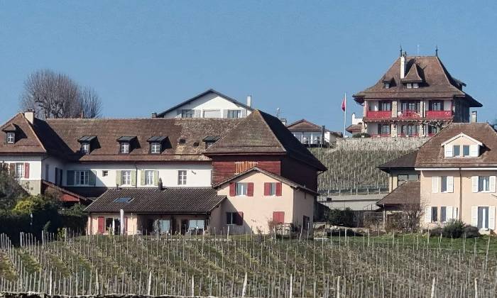 Puzzle Morges Suisse