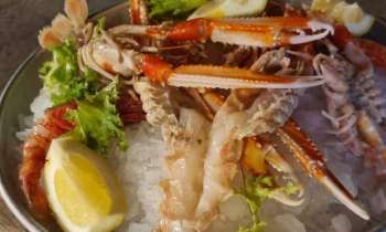 Puzzle 7575 - langoustines à la sicilienne