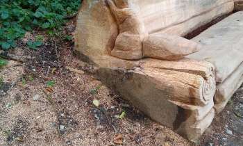 Puzzle 7738 - ecureuil dans un parc