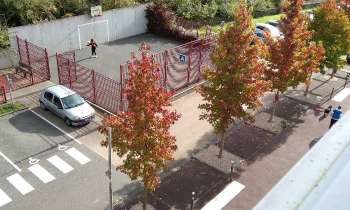 Puzzle 10269 - automne
